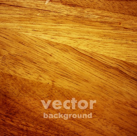 Wood texture pattern background vector texture pattern background pattern background vector   