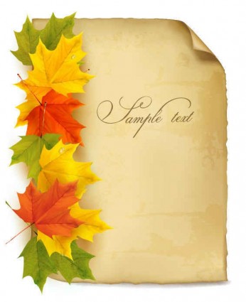 Beautiful maple leaf background vector set maple leaf beautiful background   