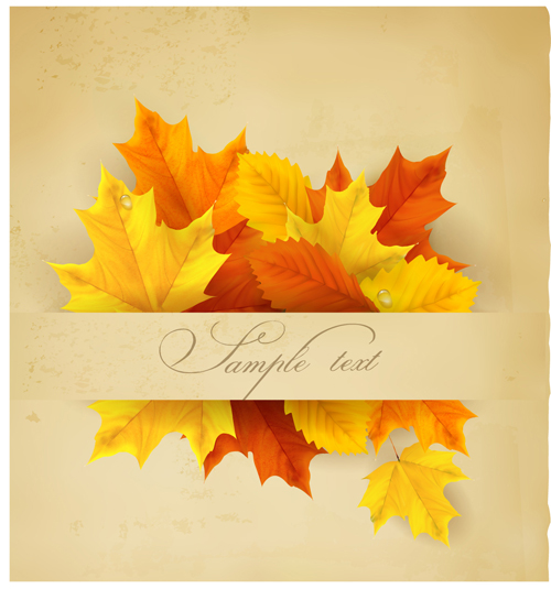 Beautiful autumn leaves background art vectors 02 beautiful background autumn leaves   