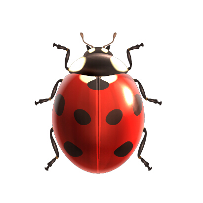 Realistic ladybird vector design realistic ladybird   