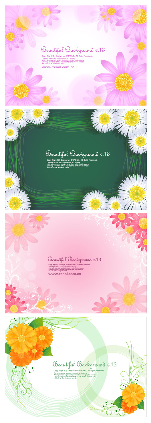 Lovely small chrysanthemum backgrounds petals flowers chrysanthemum butterflies background   