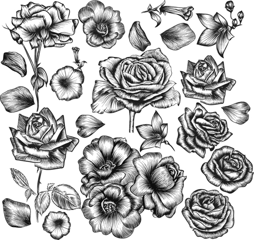 Hand drawn flower vector material material hand flower drawn   