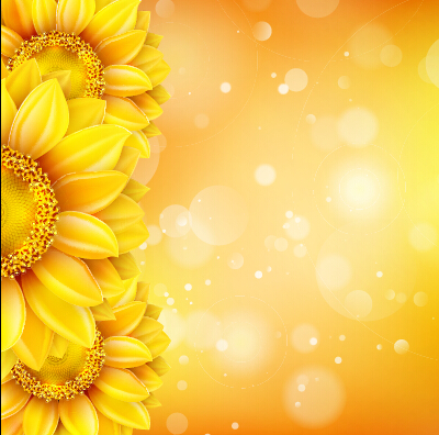 Beautiful sunflowers golden background set vector 11 sunflower golden flowers beautiful background   