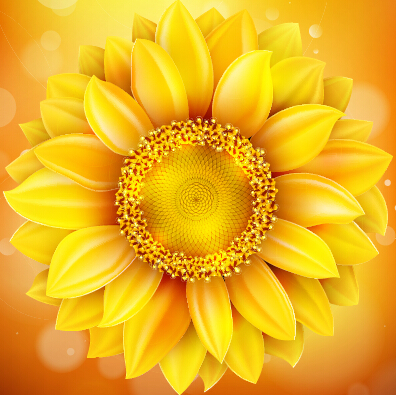 Beautiful sunflowers golden background set vector 08 sunflower golden flowers background   