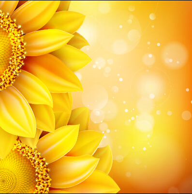 Beautiful sunflowers golden background set vector 05 sunflower golden flowers beautiful background   