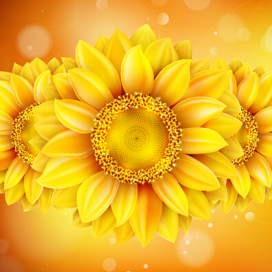 Beautiful sunflowers golden background set vector 06 sunflower golden flowers beautiful   