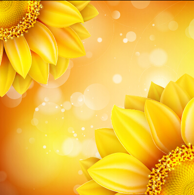 Beautiful sunflowers golden background set vector 10 sunflower golden flowers beautiful background   