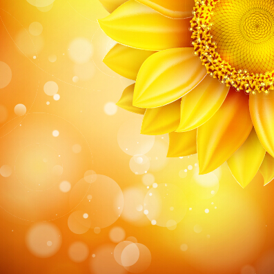 Beautiful sunflowers golden background set vector 09 sunflower golden flowers beautiful background   