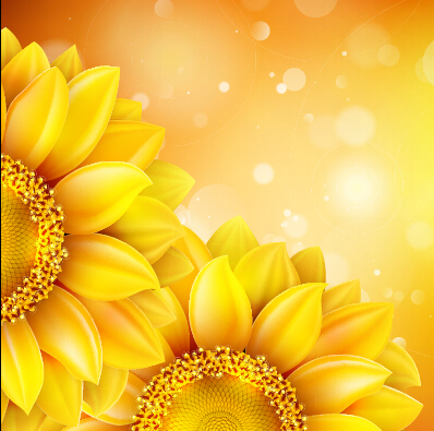 Beautiful sunflowers golden background set vector 07 sunflower golden flowers beautiful background   