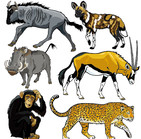 Vector set of wild animals design graphic 08 wild graphic animals Animal   