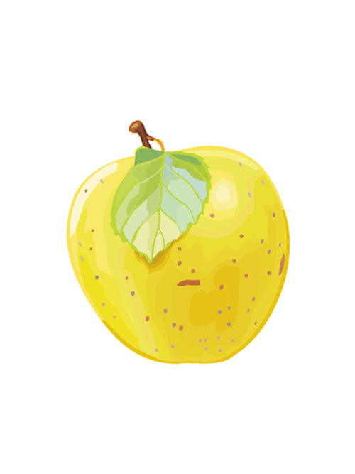 Vector yellow pear design graphics yellow pear graphics   