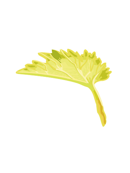 Simple grapes leaf design vector 03 simple leaf grapes   