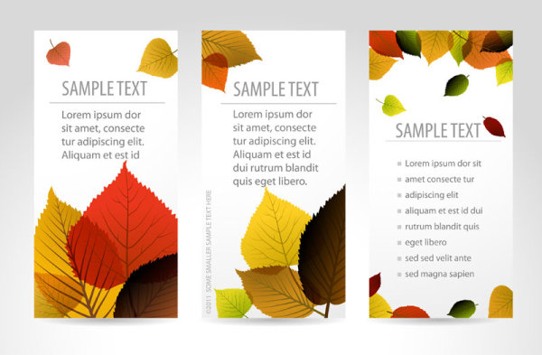 Set of maple leaves cards vector 02 maple leaves cards card   