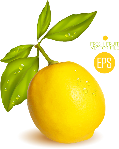 Fresh lemon shiny vector material 02 shiny material lemon   