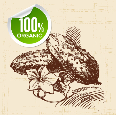 Hand drawn vegetables with organic sticker vector 05 vegetables sticker organic hand drawn   