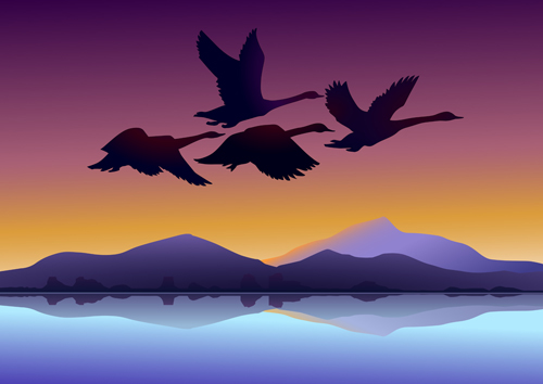 Flying swan with sunset background vector 01 swan sunset background   