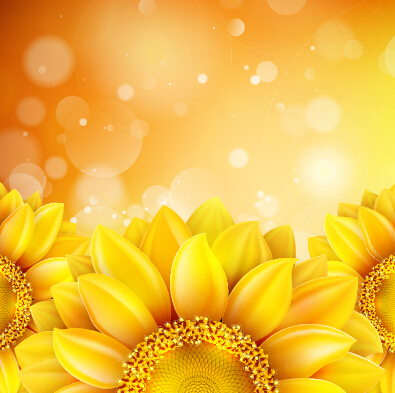 Beautiful sunflowers golden background set vector 03 sunflower flowers beautiful background   