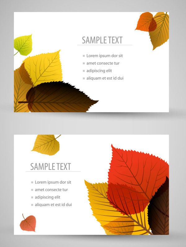 Set of maple leaves cards vector 03 maple leaves cards card   