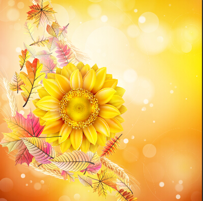 Beautiful sunflowers golden background set vector 01 sunflower flowers beautiful background   