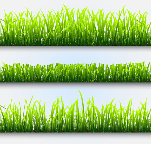 Grass and Flowers Decoration elements vector 02 grass flowers elements element decoration   