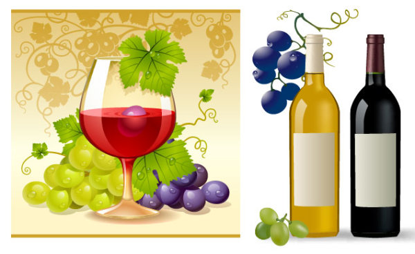Grape and wine vector wine vines the wine bottle red wine linden grape leaves grape bottle   