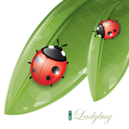 Vivid Insects design element vector 02 vivid insects element   