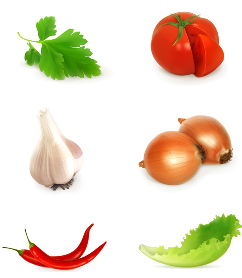 Various vegetables design vectors vegetables vegetable Various   