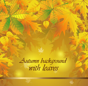 Autumn background with leaves vector material vector material material leaves autumn background   