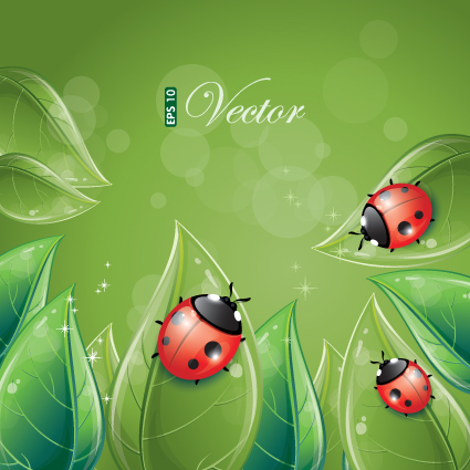 Vivid Insects design element vector 01 vivid insects element   