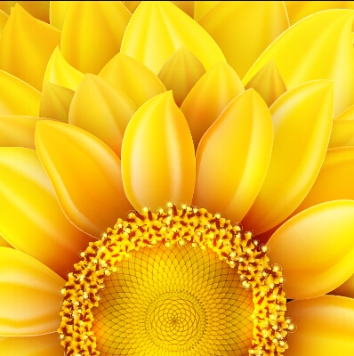 Beautiful sunflowers golden background set vector 04 sunflower golden flowers flower beautiful   