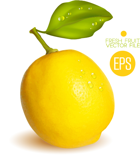 Fresh lemon shiny vector material 01 shiny lemon fresh   