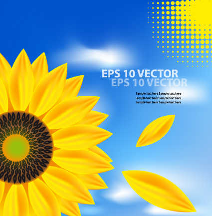 Bright Templates Nature elements vector 03 templates template nature elements element bright   