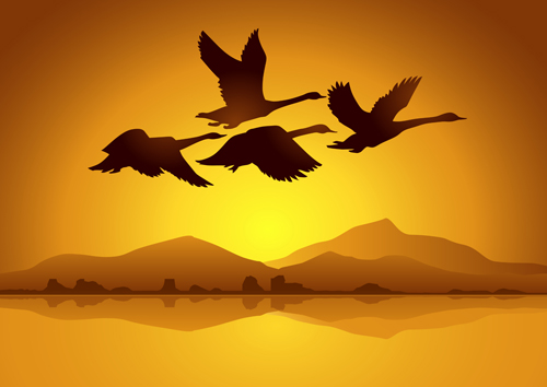 Flying swan with sunset background vector 02 swan sunset flying background   