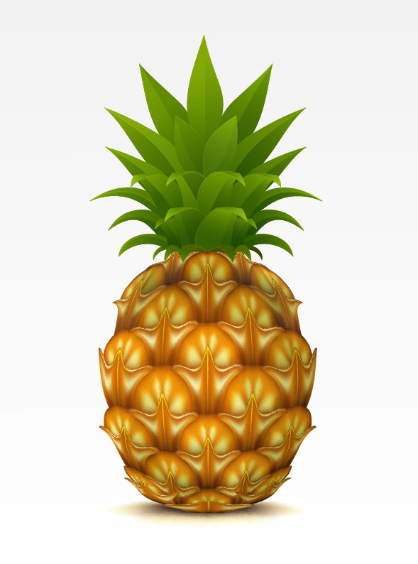 Pineapple design elements vector graphic 01 pineapple elements element   