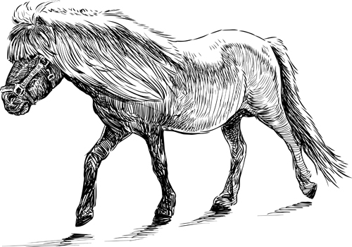 Draw horses vector 01 horses horse draw   