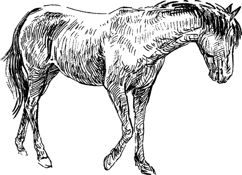 Draw horses vector 04 horses horse draw   