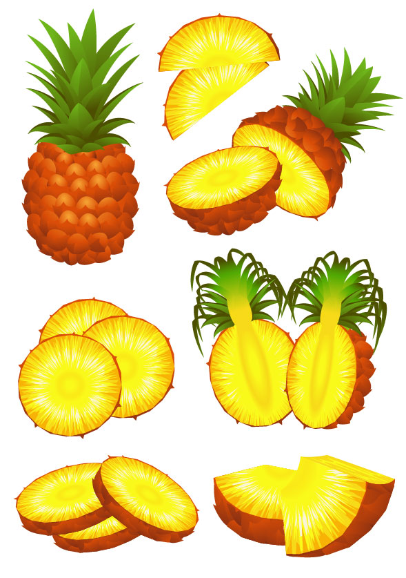 Pineapple design elements vector graphic 02 pineapple elements element   