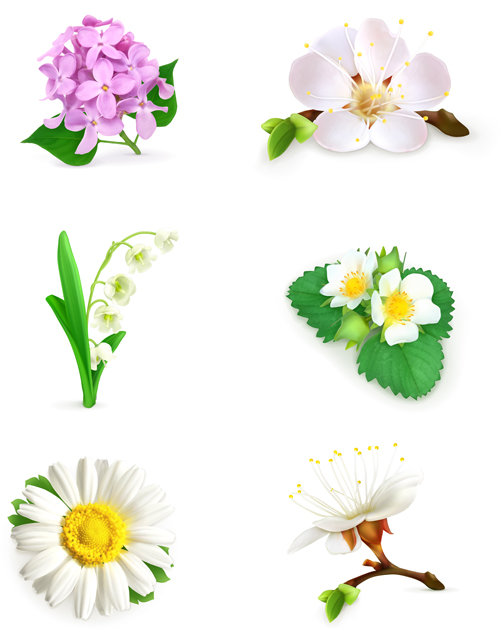 Vector beautiful flowers design set 02 flower Beautiful flowers beautiful   