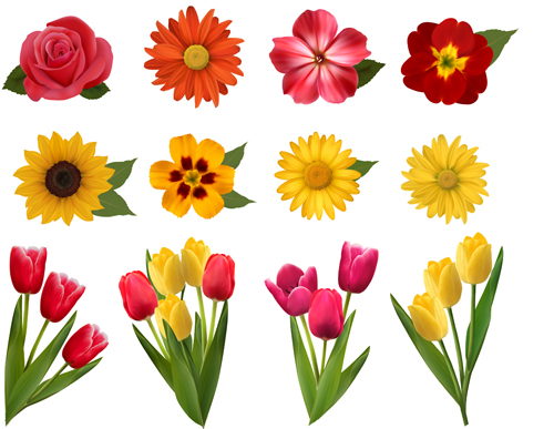 Vector beautiful flowers design set 03 flower Beautiful flowers beautiful   