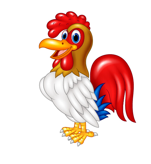 Beautiful cartoon cock vector cock cartoon beautiful   