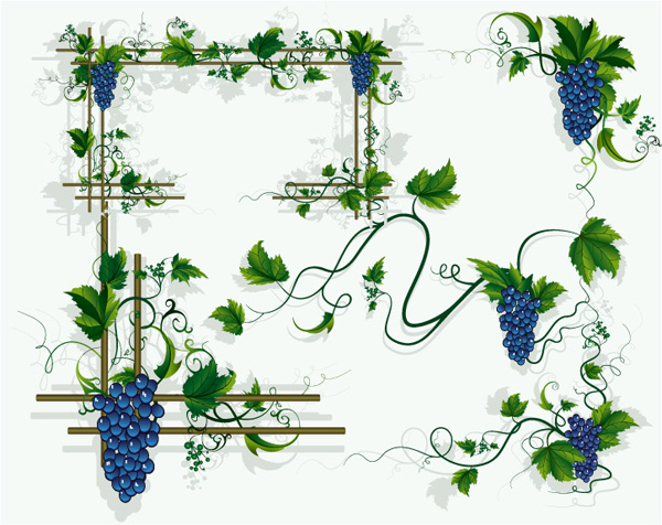 Grape frame vector vector grape border   