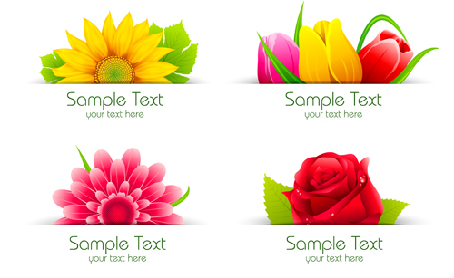 Vector beautiful flowers design set 01 flower Beautiful flowers beautiful   