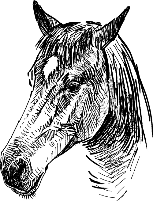 Draw horses vector 05 horses horse draw   