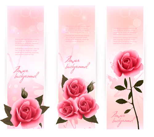 Beautiful rose vertical banner vector vertical rose beautiful banner   