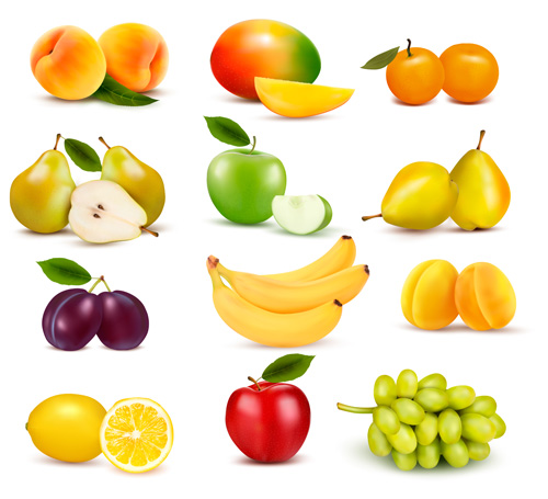 Various fresh fruits vector design 01 Various fruits fresh   