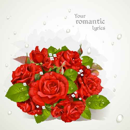 Red rose with water drop background vector water rose red drop background   