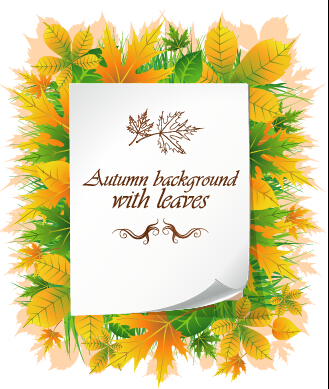 Beautiful autumn leaves with paper background 01 paper beautiful background autumn leaves   