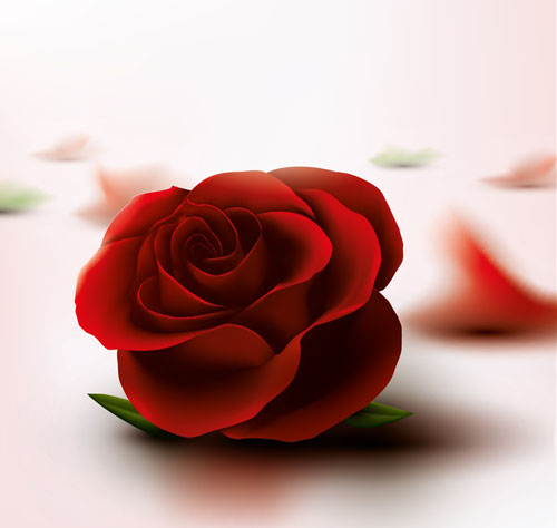 Red rose with pink background vector 02 rose red pink background   