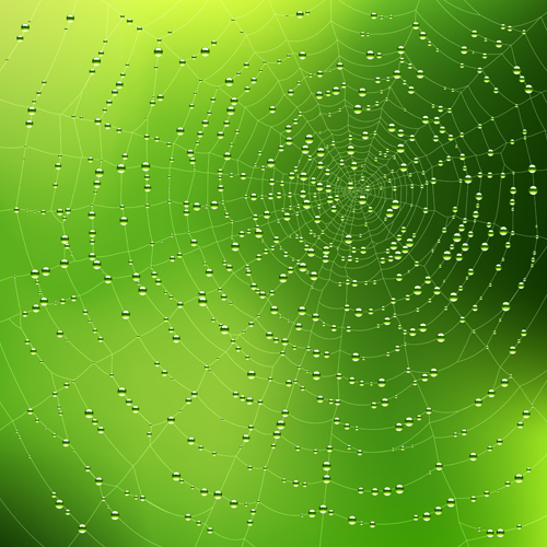 Spiderweb and drops vector graphics spiderweb Drops   