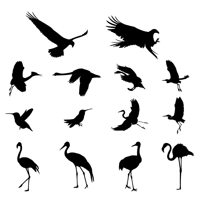 Various birds silhouettes vector set 02 Various silhouettes silhouette birds bird   